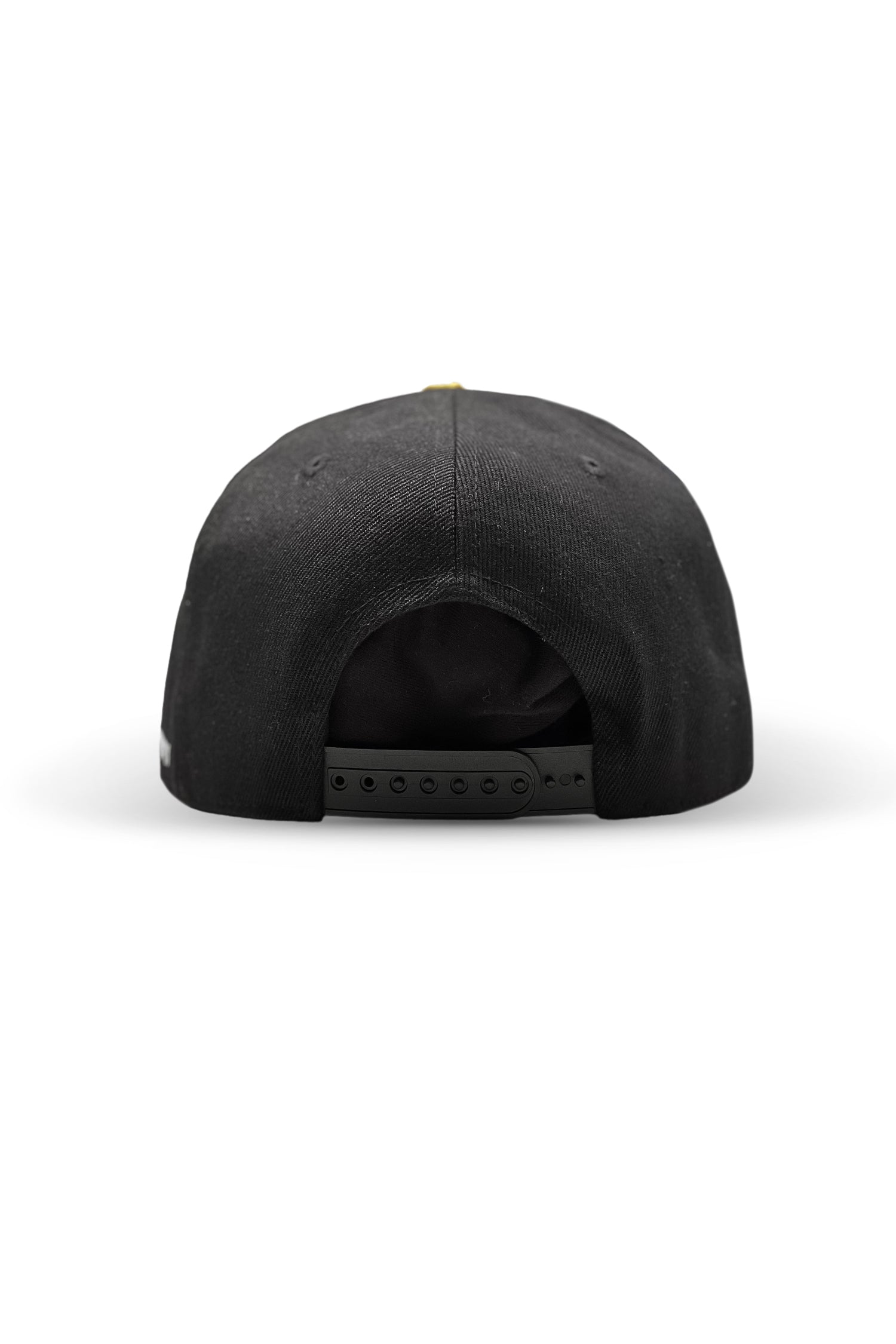 Subtronics Classic Snapback